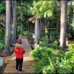 A young boy wearing a red jacket walks down a path in a lush green forest.