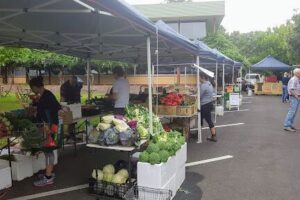 Adelaide Hills Farmers Markets