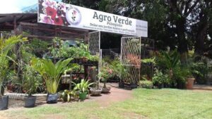 Agro verde paisagismo