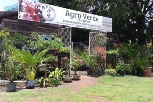 Agro verde paisagismo