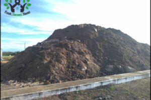 Alagoas Ambiental