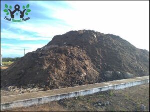 Alagoas Ambiental