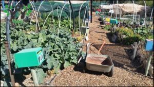 Alice Springs Community Garden