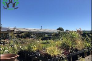 Allans Garden Centre