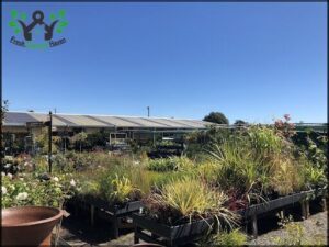 Allans Garden Centre