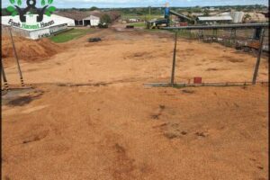 Amapá Florestal e Celulose