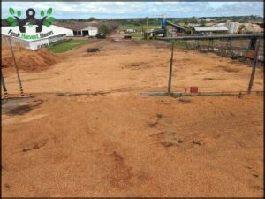 Amapá Florestal e Celulose