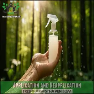 Application and Reapplication