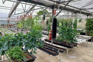 Aquaponics WA