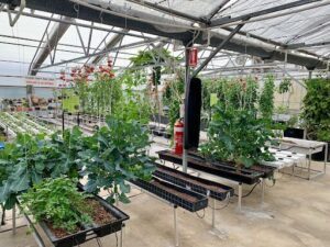 Aquaponics WA