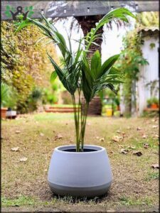 Arcos Verde Plantas y Macetas