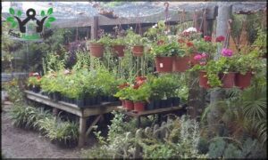 Arte Natural JARDINERIA