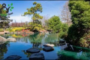 Auburn Botanic Gardens