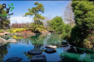 Auburn Botanic Gardens