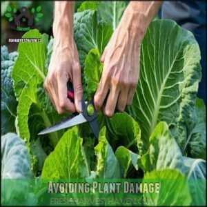 Avoiding Plant Damage