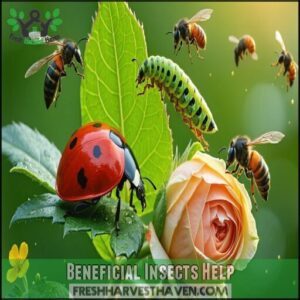 Beneficial Insects Help
