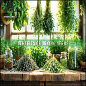 Benefits of Drying Herbs
