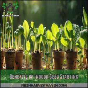 Benefits of Indoor Seed Starting