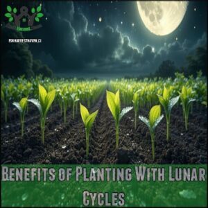 Benefits of Planting With Lunar Cycles
