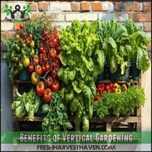 Benefits of Vertical Gardening