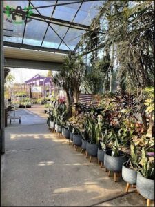 Bonnyrigg Garden Centre