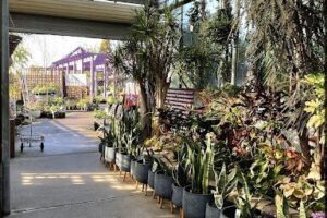Bonnyrigg Garden Centre