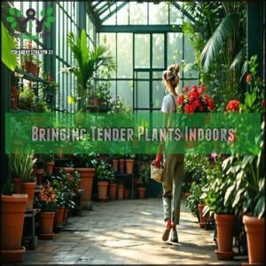 Bringing Tender Plants Indoors