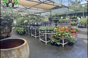 Brookfield Gardens