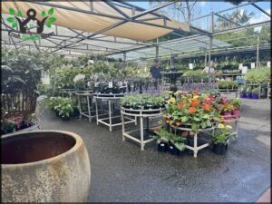 Brookfield Gardens