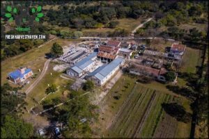 C.E.M Complejo Ecoproductivo Municipal