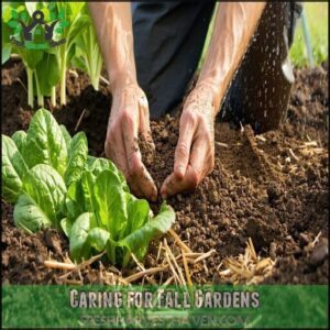 Caring for Fall Gardens