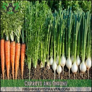 Carrots and Onions