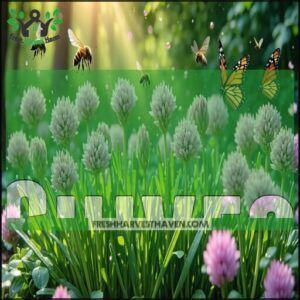 Chives