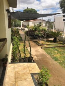Cia das Plantas CN