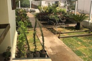 Cia das Plantas CN