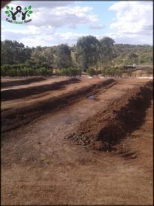 Coind compostagem
