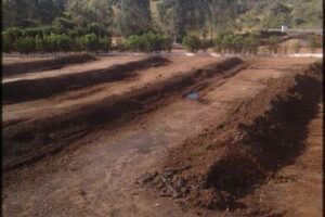 Coind compostagem