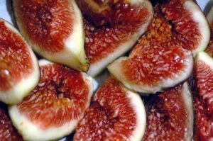 Common Fig 20 Seeds   B002J7AM14
