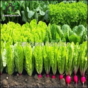 Cool Season Vegetables