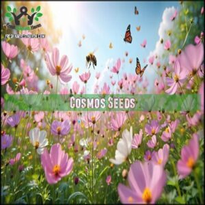 Cosmos Seeds