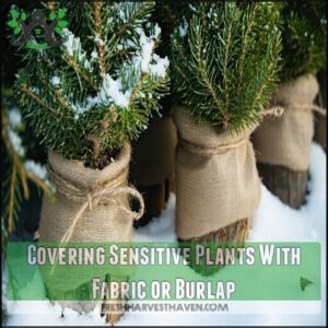 Covering Sensitive Plants With Fabric or Burlap