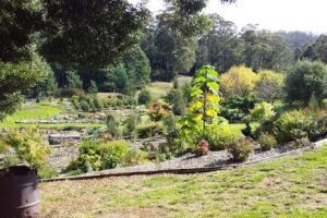 CRAWLEIGHWOOD GARDEN & NURSERY