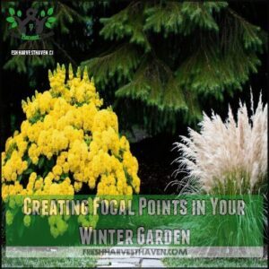 Creating Focal Points in Your Winter Garden