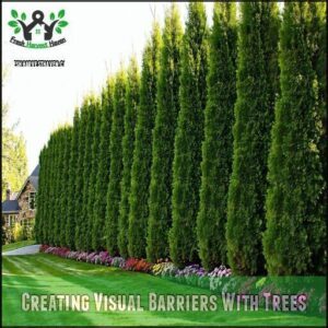 Creating Visual Barriers With Trees