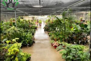 Crossacres Garden Centre
