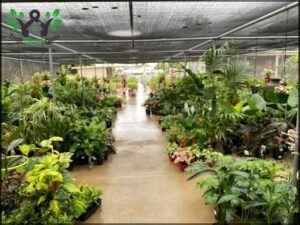 Crossacres Garden Centre