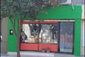 Cultivando Vida