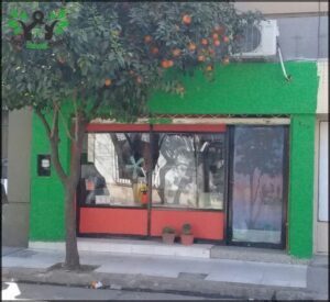 Cultivando Vida