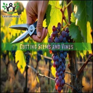 Cutting Stems and Vines