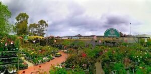 Dawson's Garden World